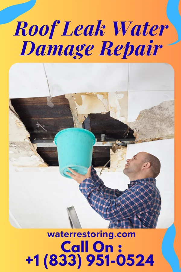Roof Leak Water Damage Repair in St. Matthews, KY