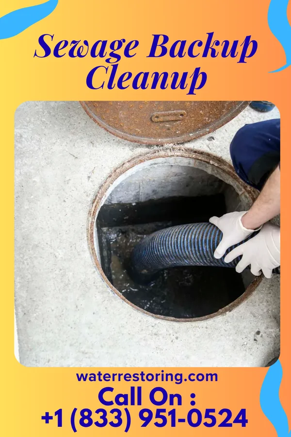 Sewage Backup Cleanup in St. Matthews, KY