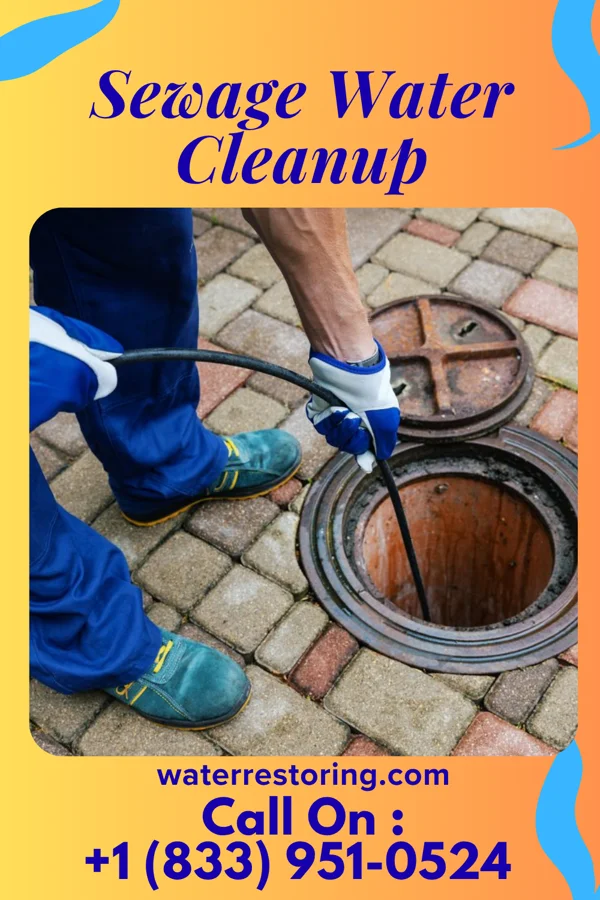 Sewage Water Cleanup in St. Matthews, KY