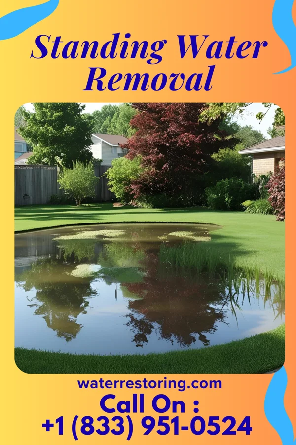 Standing Water Removal in St. Matthews, KY